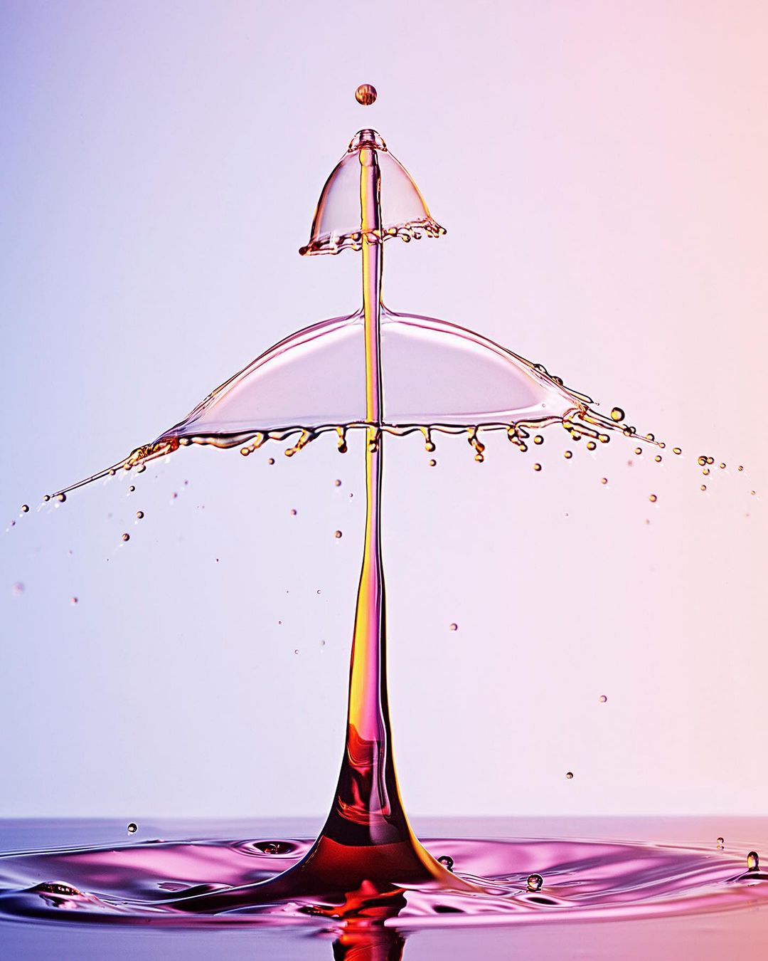 Narcisse Magazine |  Mar. 21