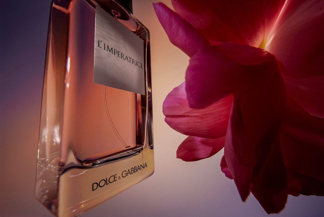 Dolce & Gabbana |  Nov. 23