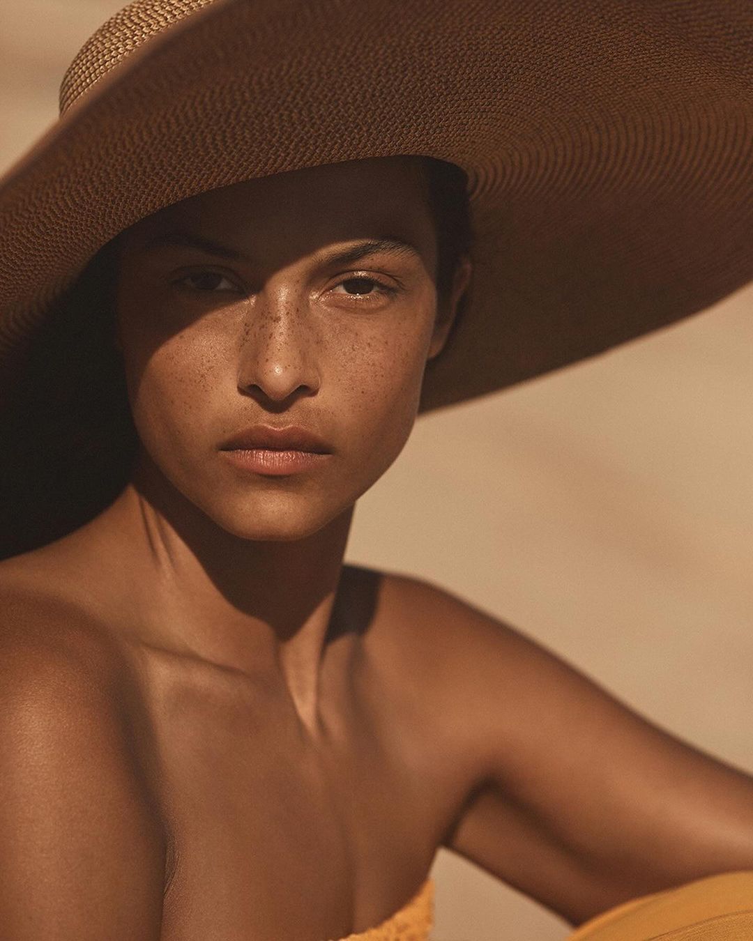 Anthropologie |  Jan. 24