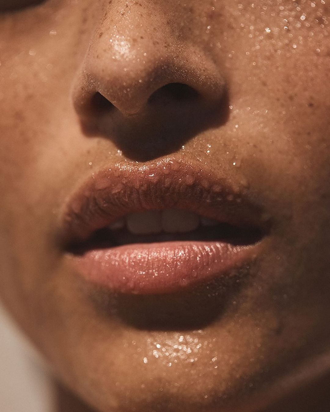 Anthropologie |  Jan. 24