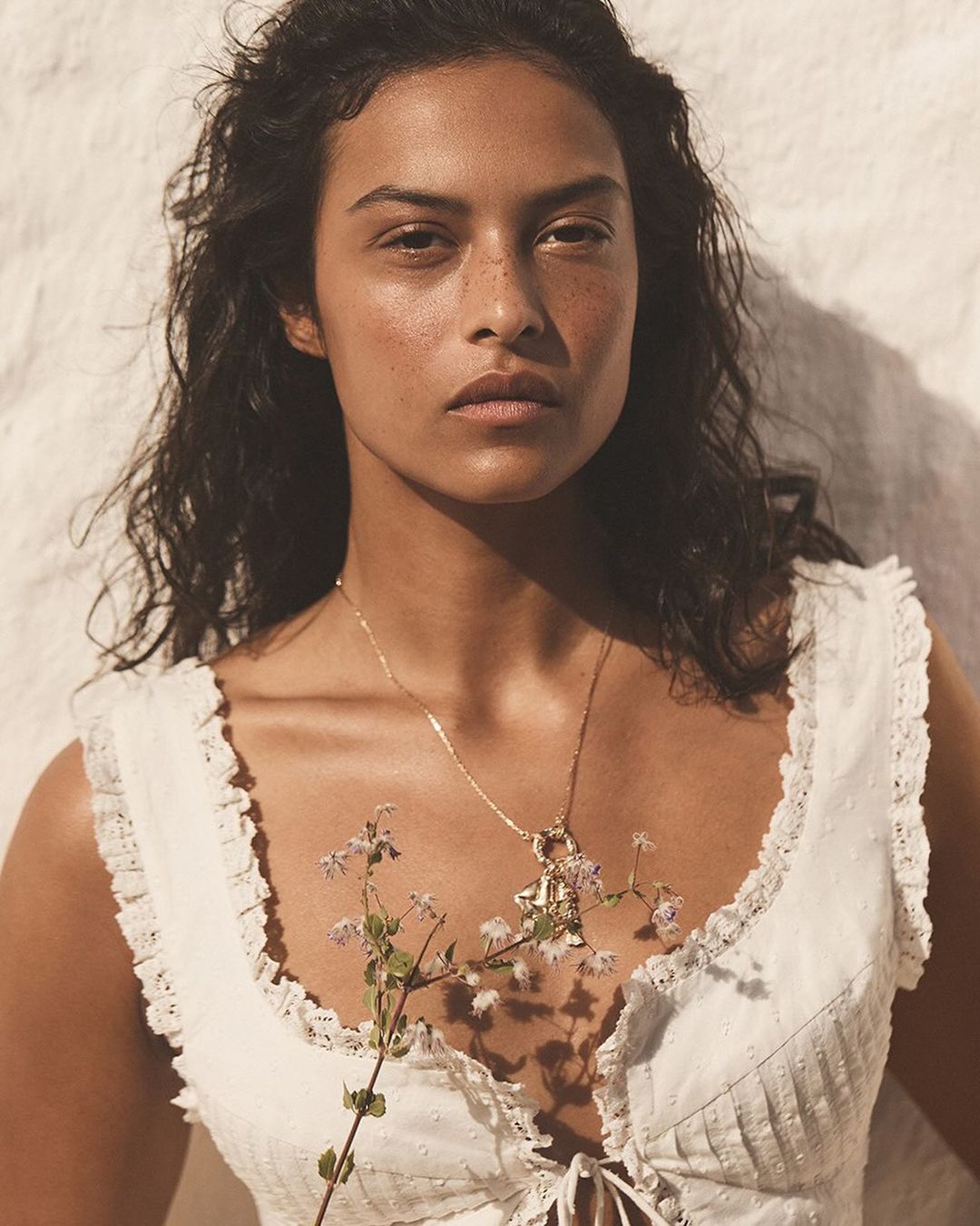 Anthropologie |  Jan. 24