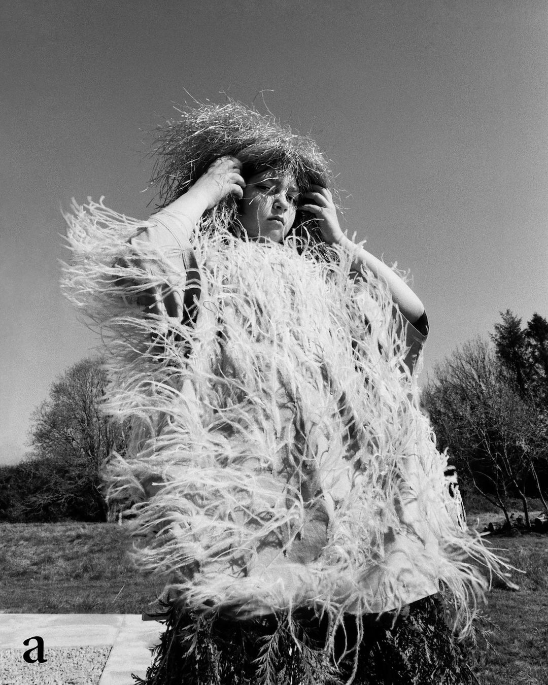 The Plant |  Jul. 23