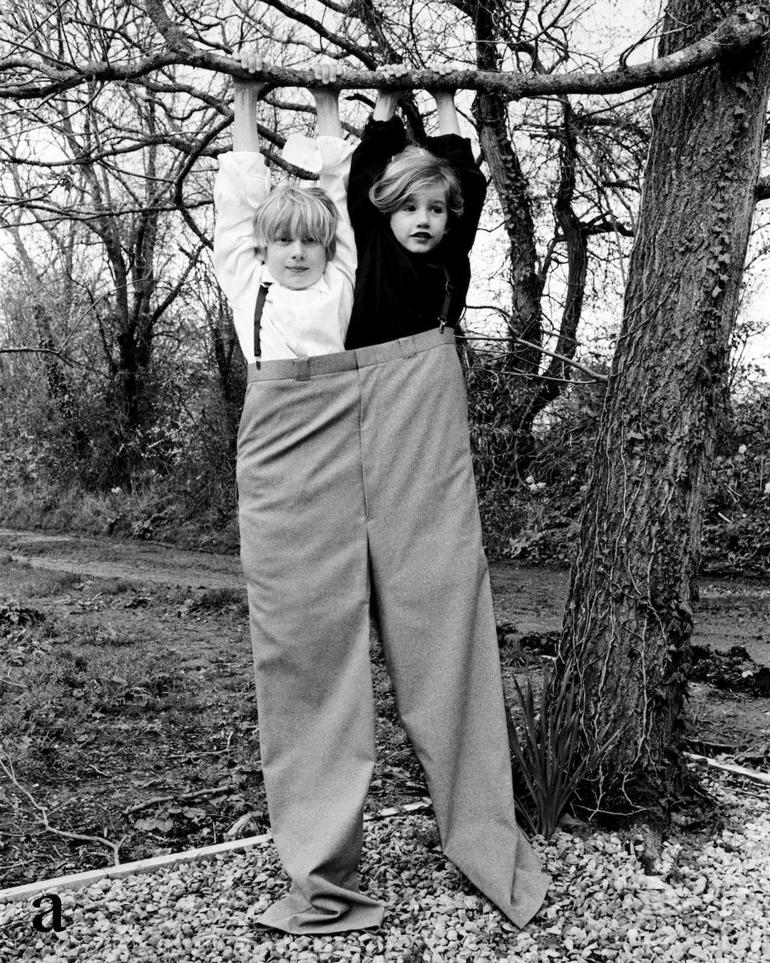 The Plant |  Jul. 23