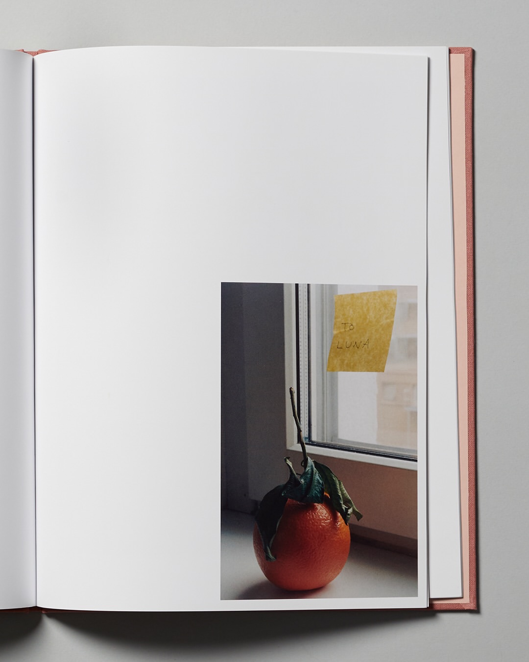 Color separation for @erikstudios’ book Seeing w...