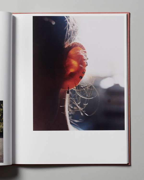 Color separation for @erikstudios’ book See...