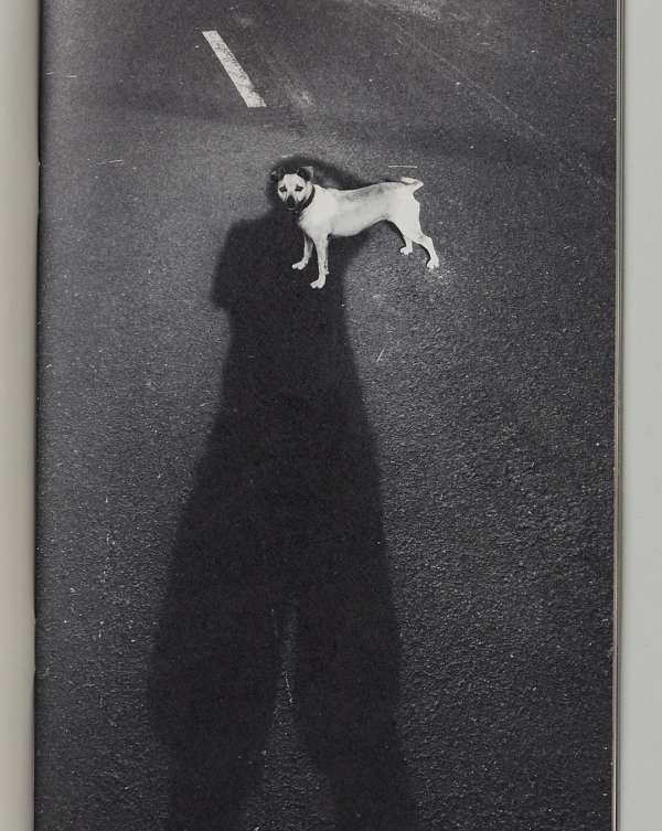 Pre-press for @saintlaurentbabylone fanzine...