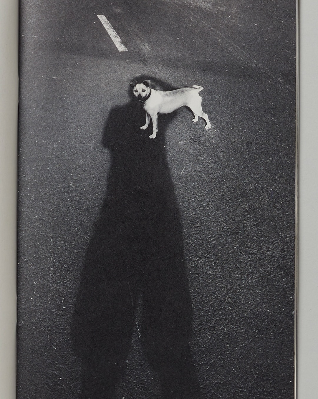 Pre-press for @saintlaurentbabylone fanzine 17 shot by @dodafoto 

#photogravure #artificesparis #saintlaurent #dominicdahnke