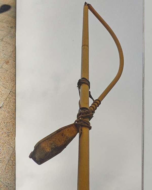 Pre-press for @saintlaurentbabylone fanzine...