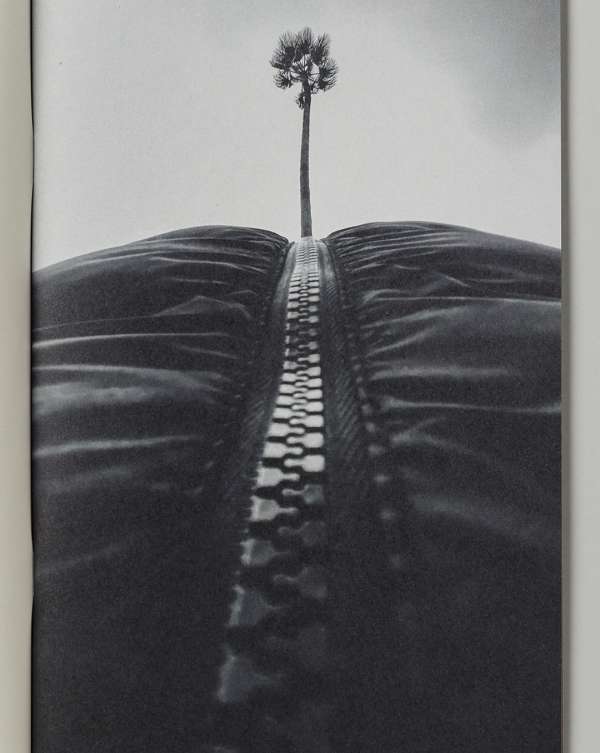 Pre-press for @saintlaurentbabylone fanzine...