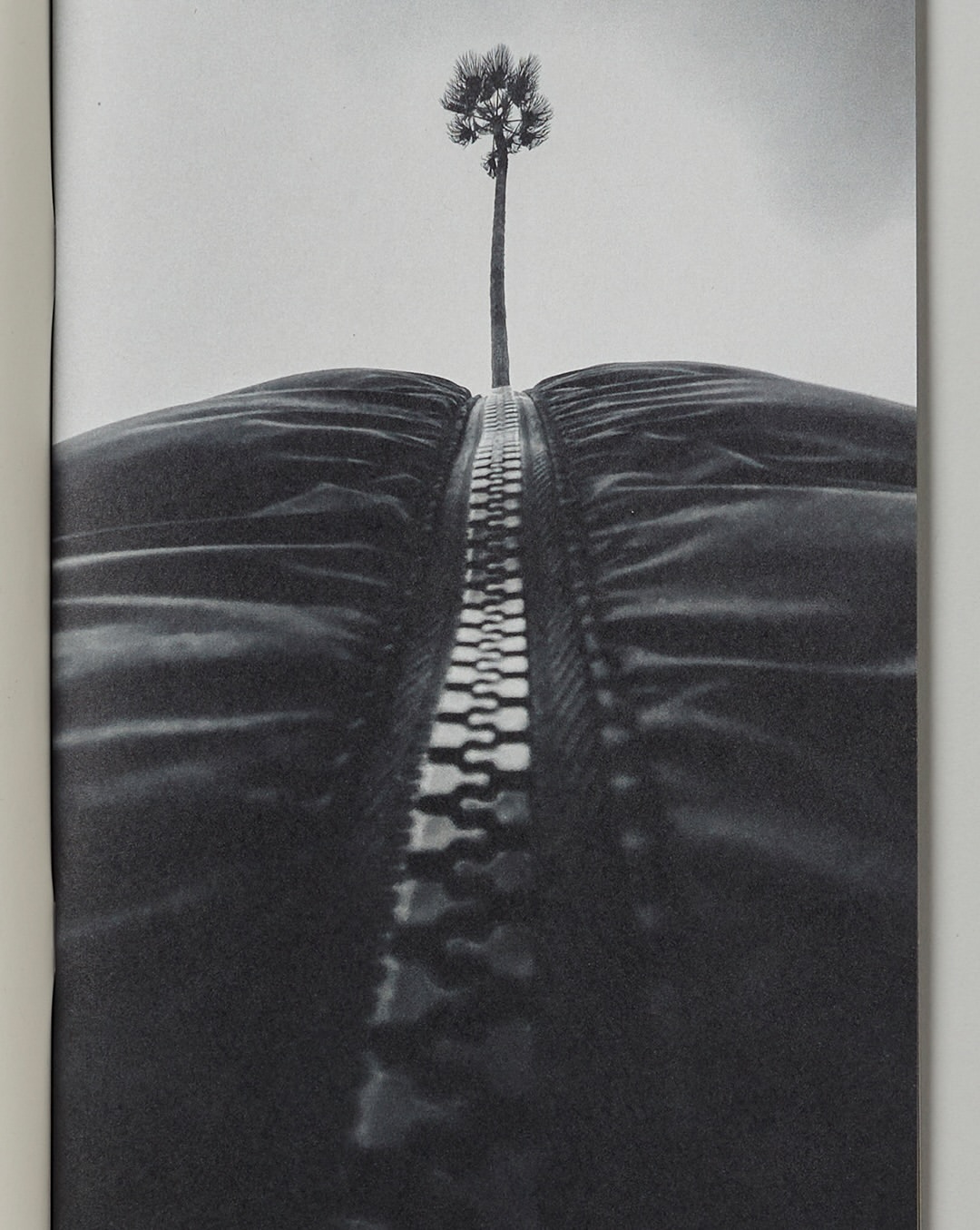 Pre-press for @saintlaurentbabylone fanzine 17 shot by @dodafoto 

#photogravure #artificesparis #saintlaurent #dominicdahnke