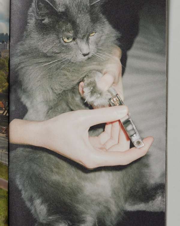 Pre-press for @saintlaurentbabylone fanzine...