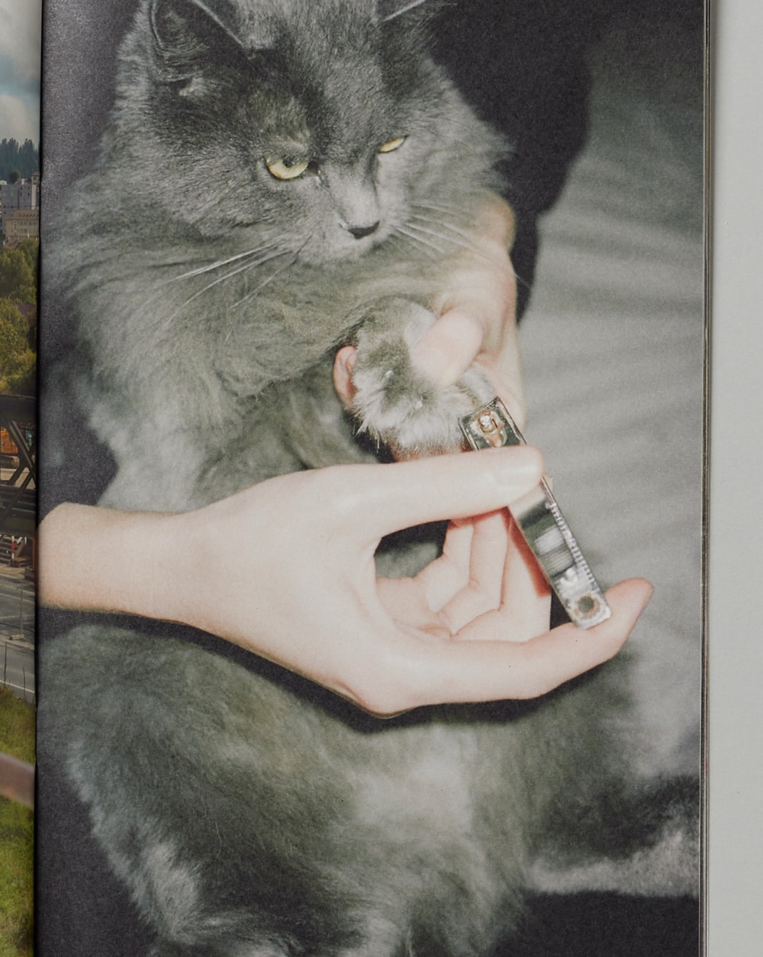 Pre-press for @saintlaurentbabylone fanzine 19 sho...