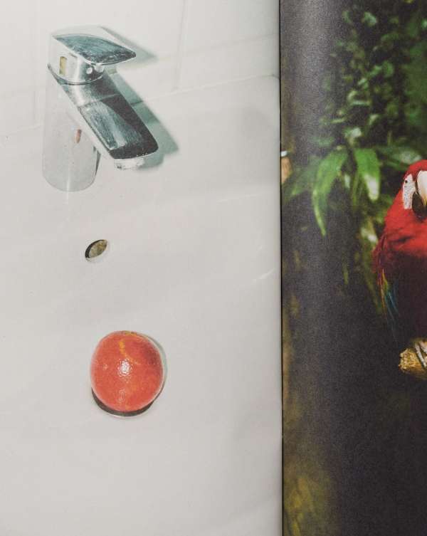 Pre-press for @saintlaurentbabylone fanzine...