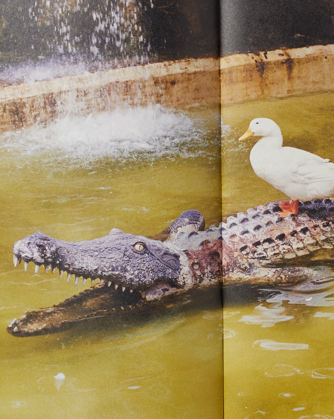 Pre-press for @saintlaurentbabylone fanzine 19 shot by @jonathanllense

Jonathan Llense is a Paris based photographer and artist whose work embraces a playful and instinctive approach to image-making. His photographs, often lit with a sharp flash, capture fleeting, seemingly mundane moments with striking immediacy. Unbound by conventional formats such as “series” or “projects,” his work resists fixed narratives, instead offering spontaneous glimpses infused with irony and a sense of impermanence.

#artificesparis #photogravure #jonathanllense #saintlaurent #fanzine