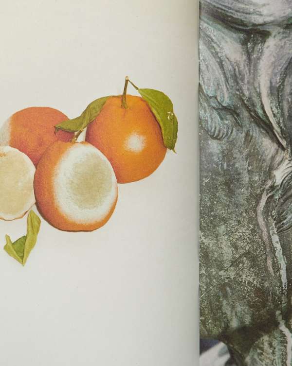 Pre-press for @saintlaurentbabylone fanzine...