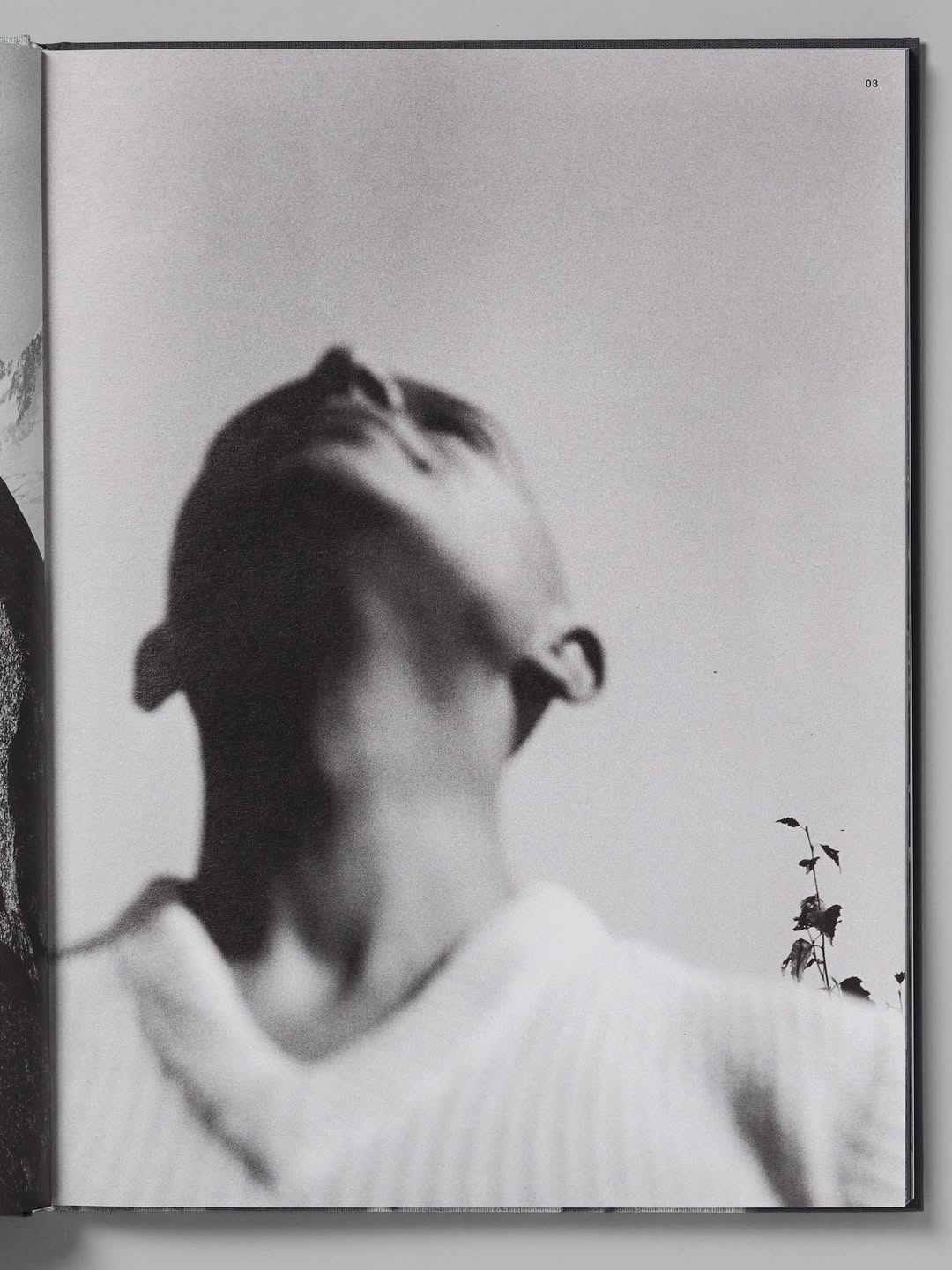 Photogravure for SL editions : ‘Charlotte Perria...