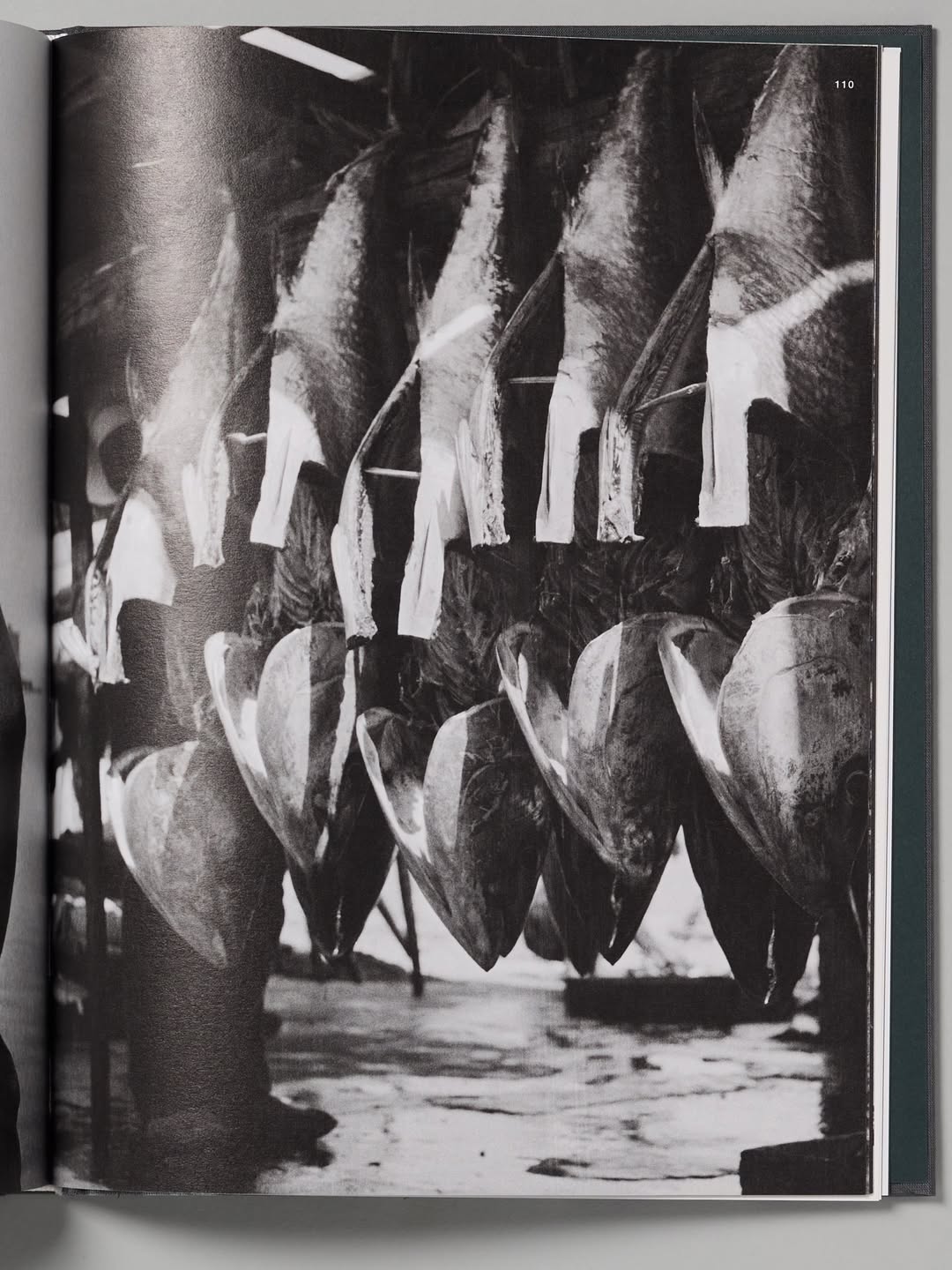 Photogravure for SL editions : ‘Charlotte Perria...