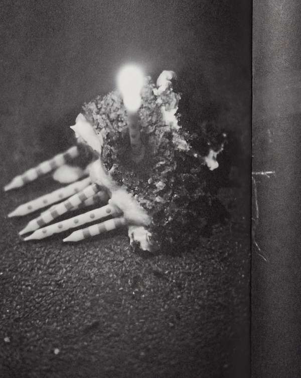 Pre-press for Saint-Laurent fanzine #20 sho...