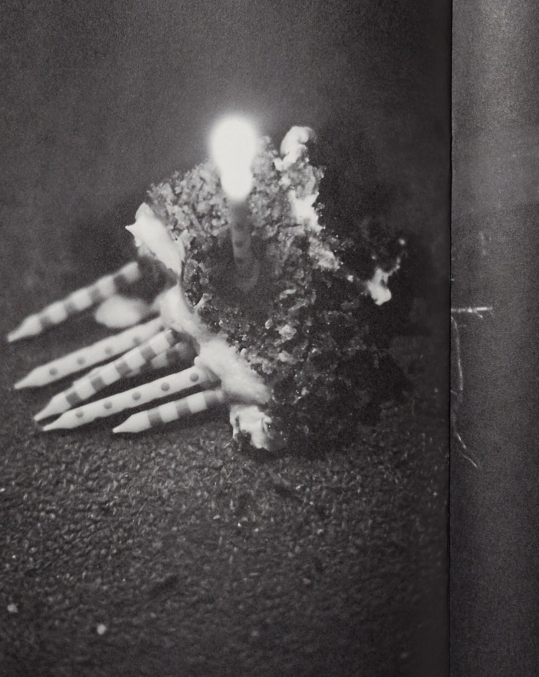 Pre-press for Saint-Laurent fanzine #20 shot by @d...