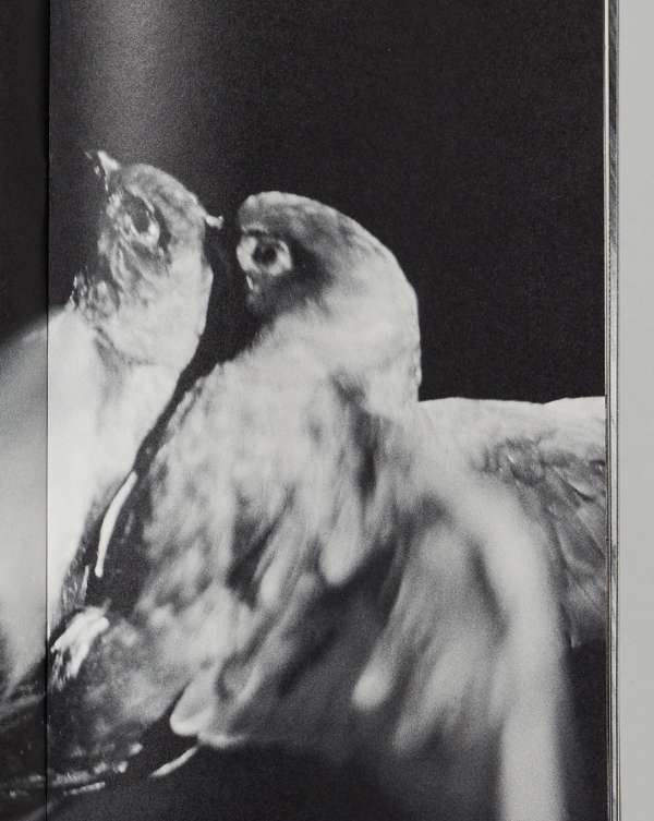 Pre-press for Saint-Laurent fanzine #20 sho...