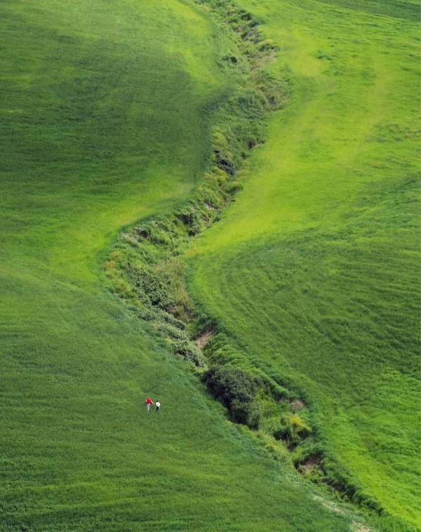 Ryan McGinley