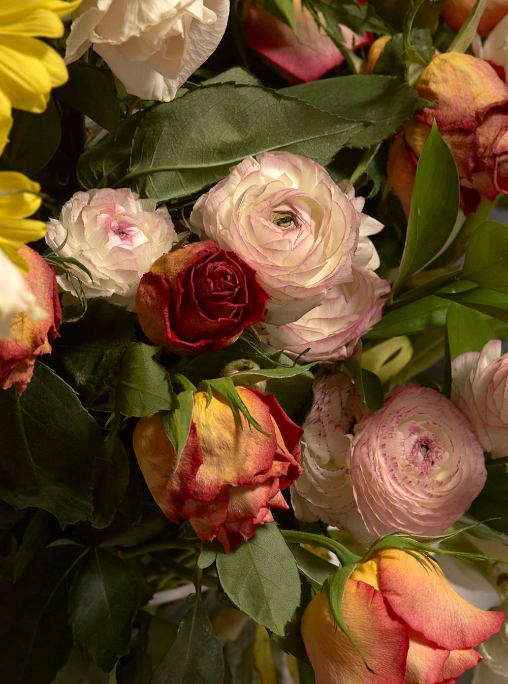 Roe Ethridge X Gagosian