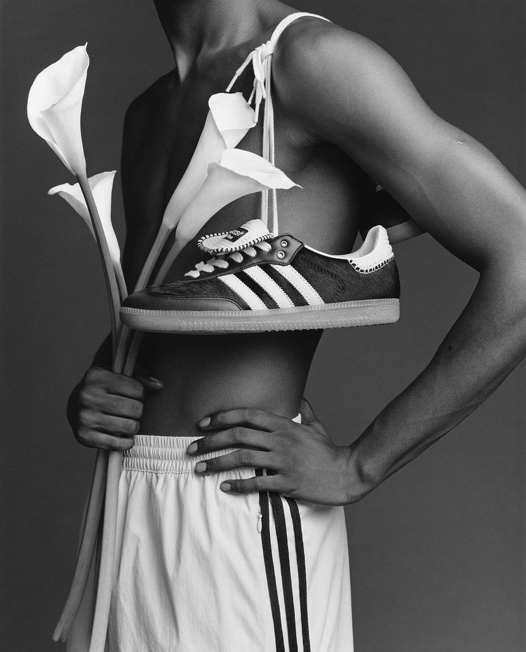 Adidas Originals |  Nov. 23