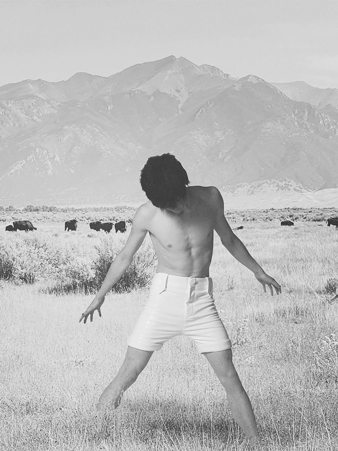 David Sims X HOMME+