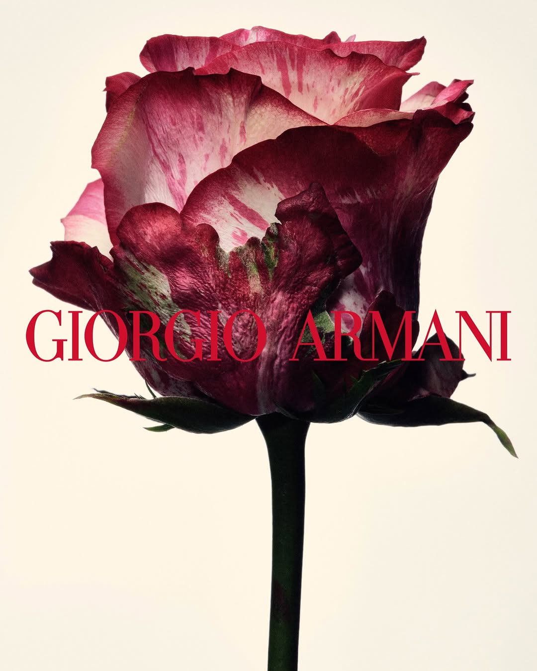 Oliver Hadlee Pearch X Giorgio Armani Sep. 26