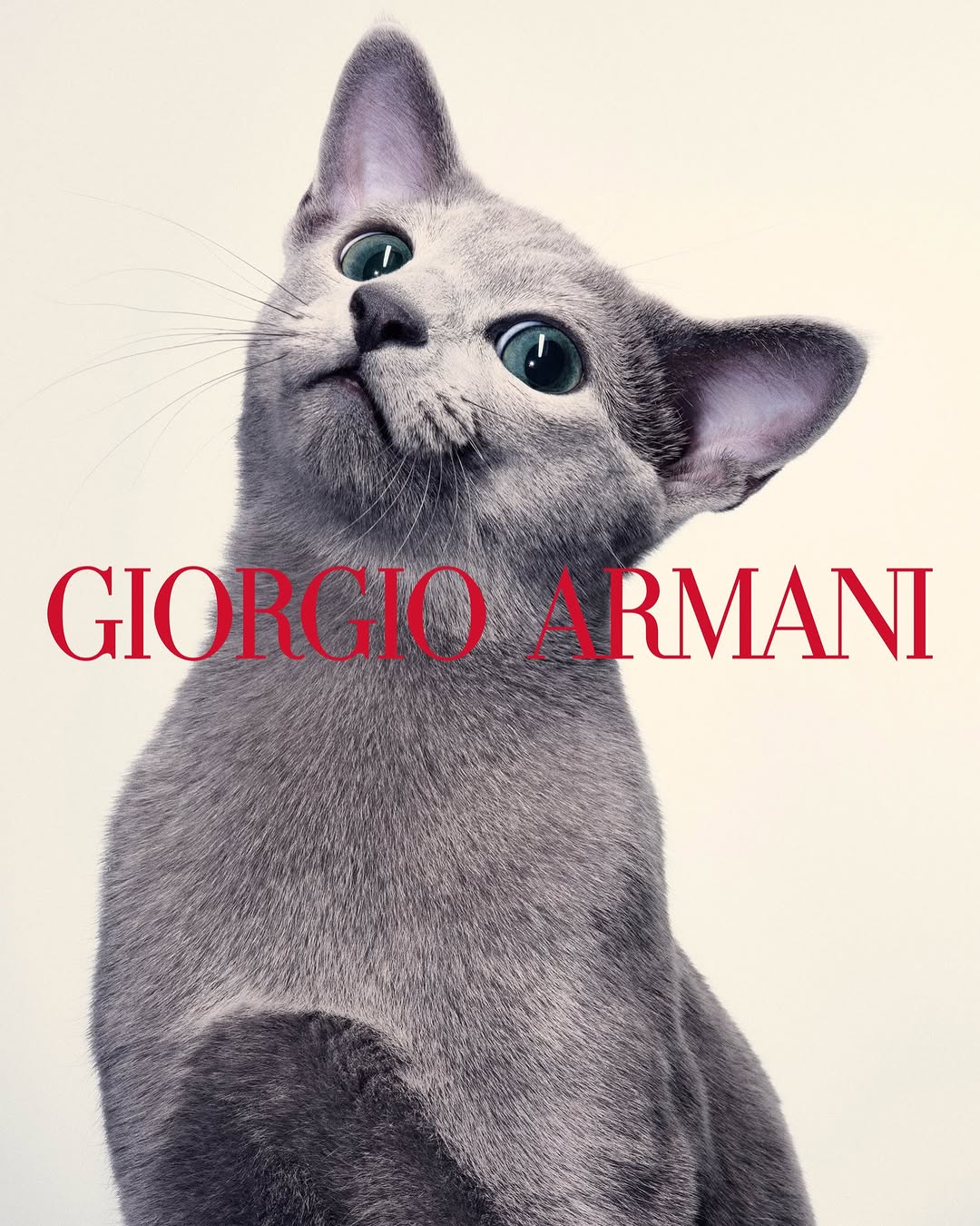 Giorgio Armani |  Sep. 26