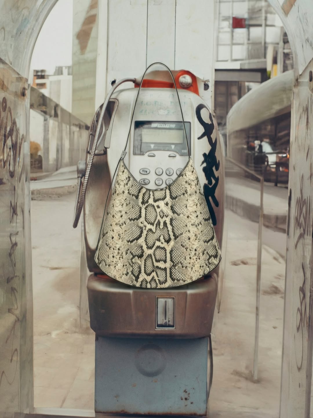 Daniel Aires Nov. 25