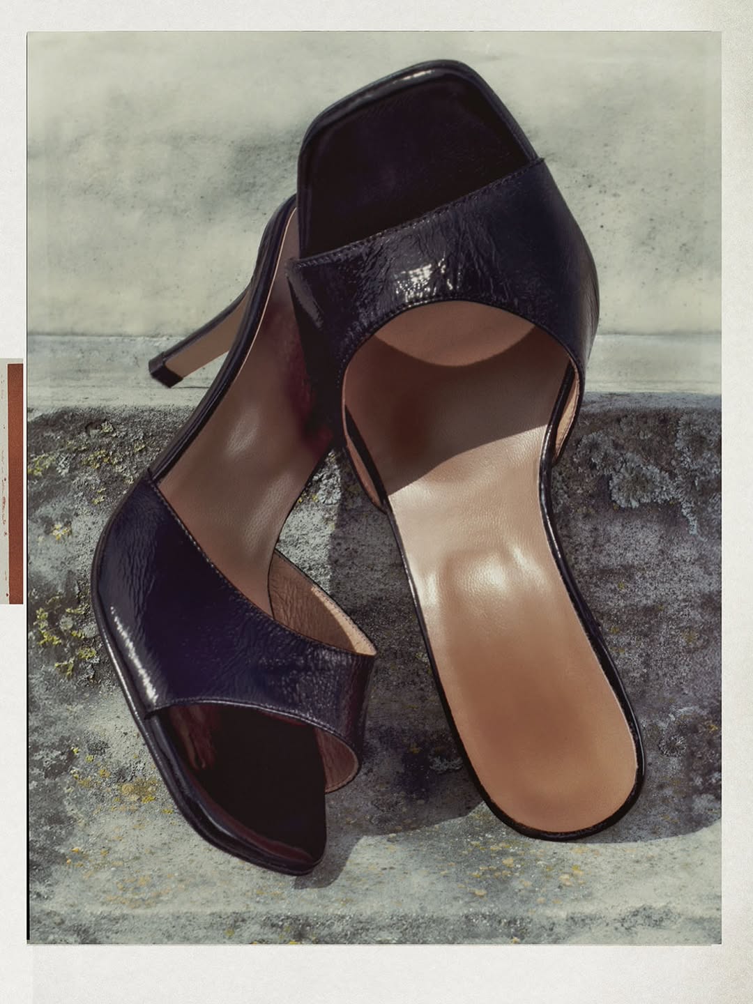 Daniel Aires Nov. 25