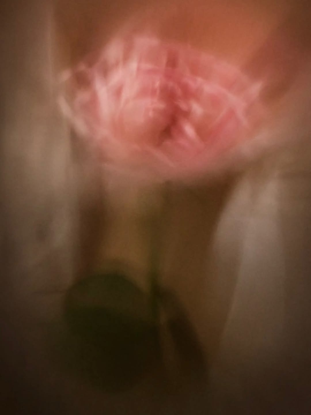 Maeva Delacroix X MAISON CRIVELLI Feb. 26