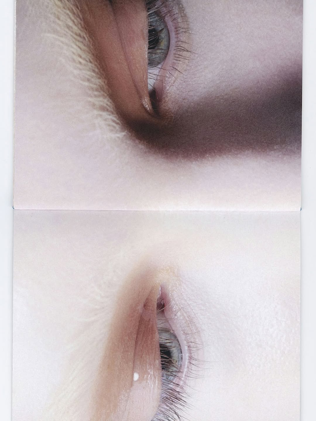 Pablo Freda X GODMODE