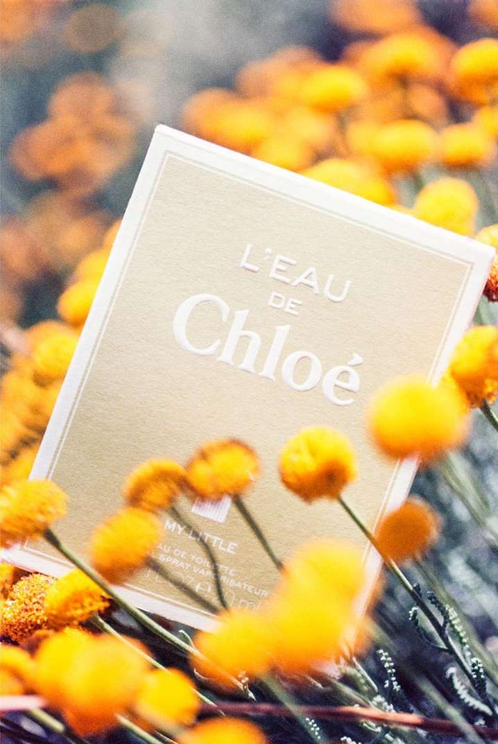 Chloé |  Aug. 19