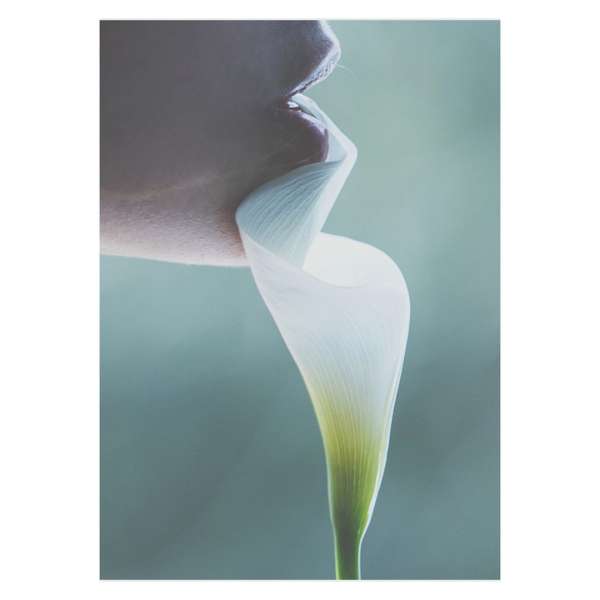 David Bellemere