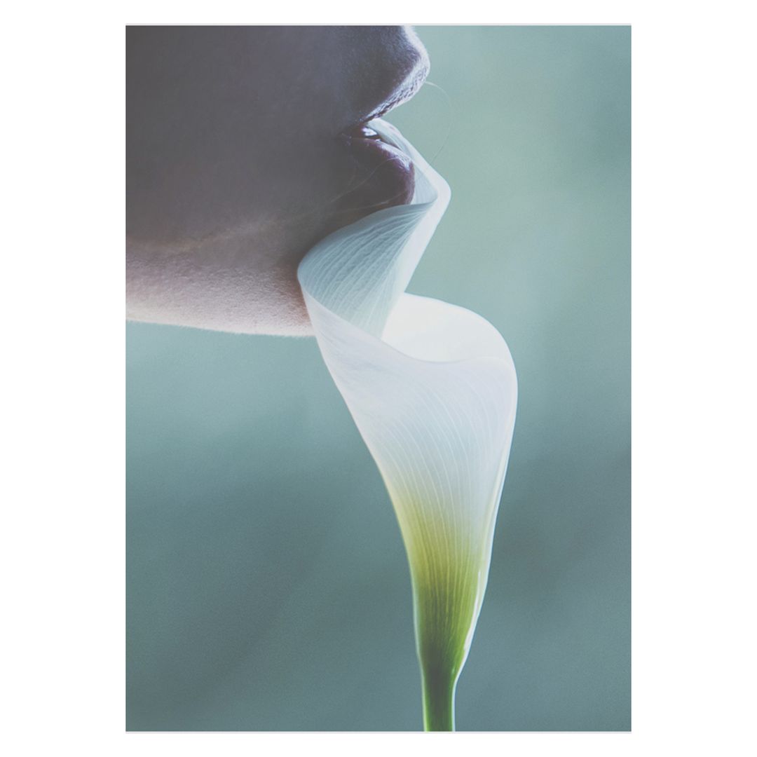 David Bellemere