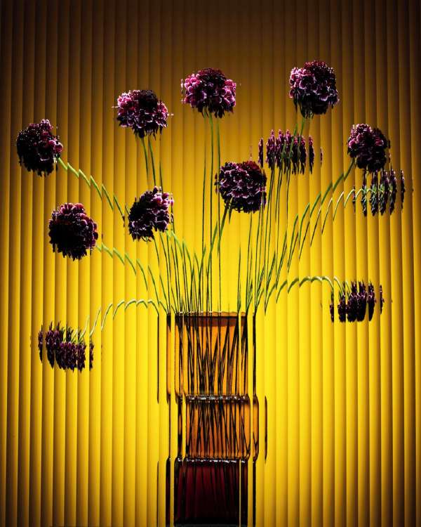 Sebastien Coindre