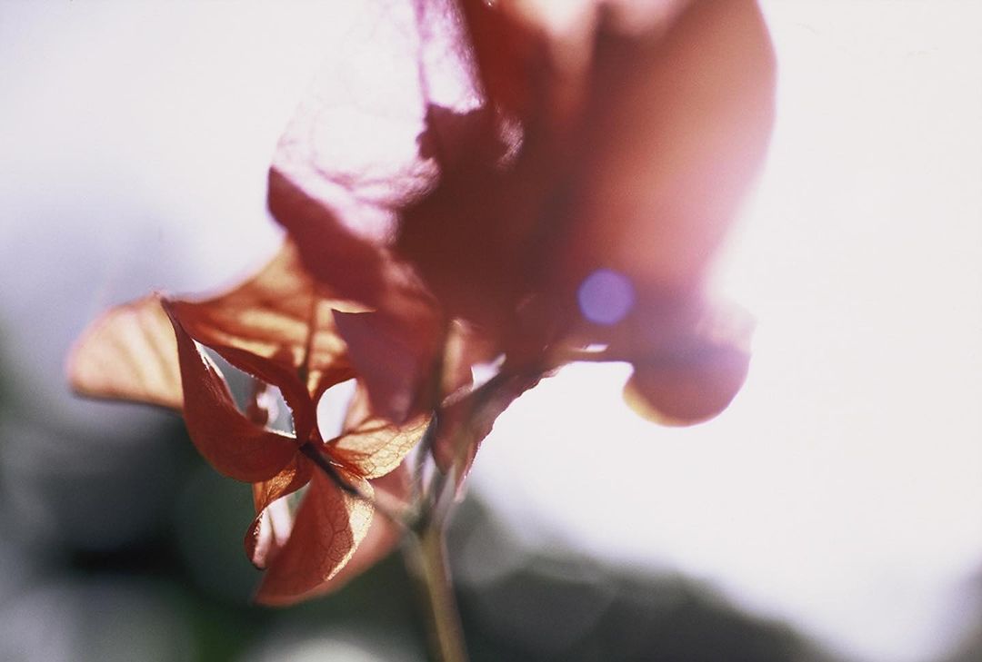 Goutal Paris |  Jul. 23