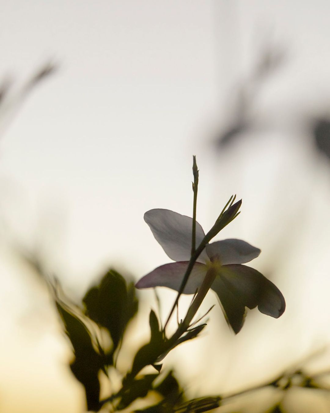 Dior Beauty |  Oct. 23