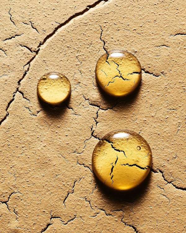 Sebastien Coindre