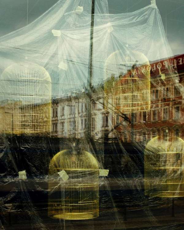 Laurie Bartley