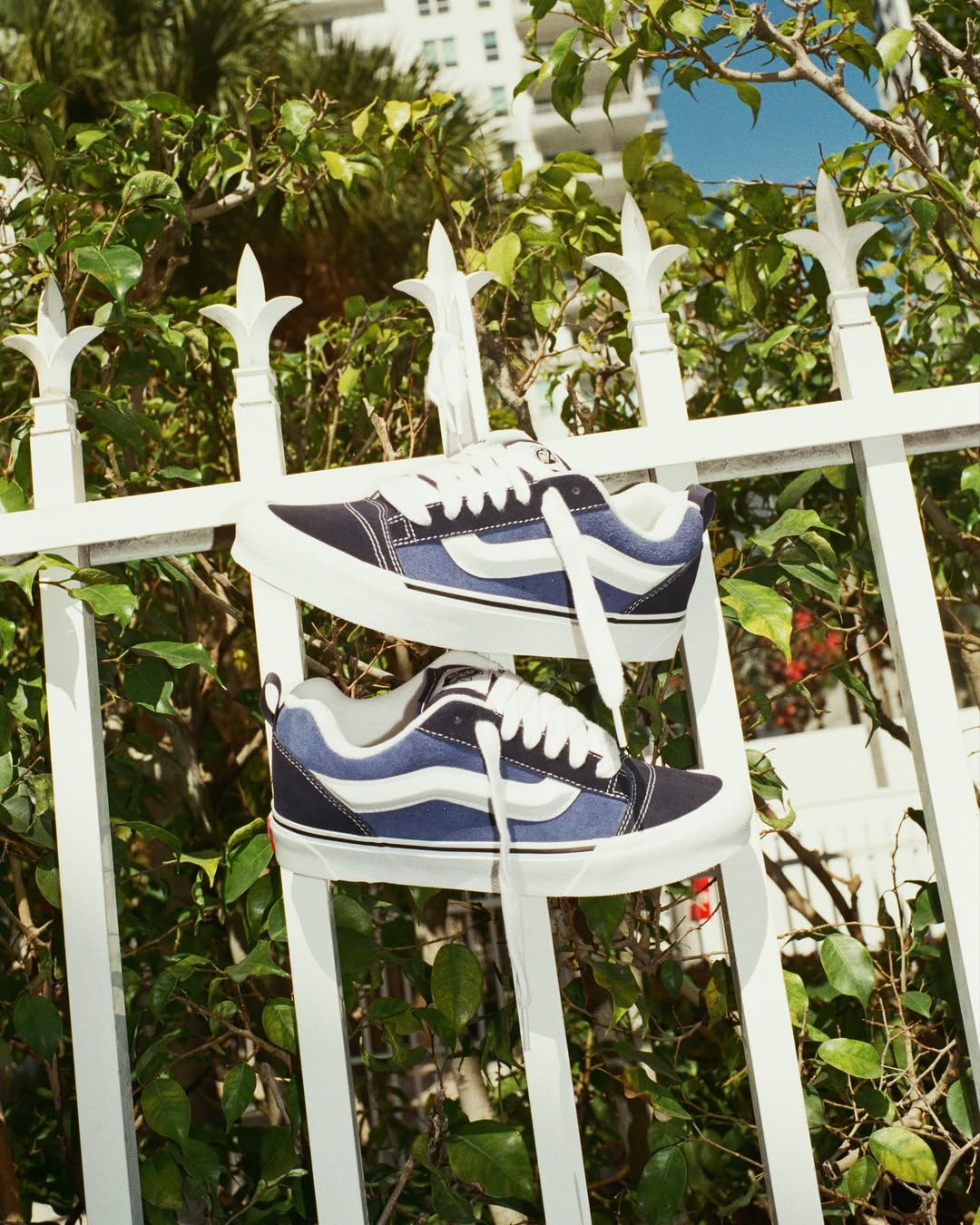 Arturo Torres X Vans Nov. 25