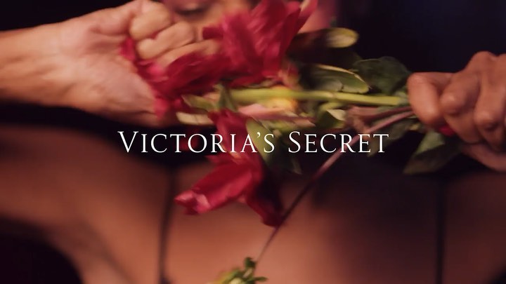 Victoria's Secret |  Aug. 19
