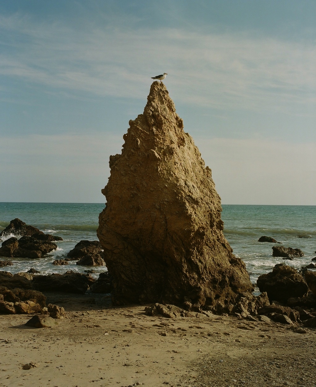 J.Crew Men's |  May. 23