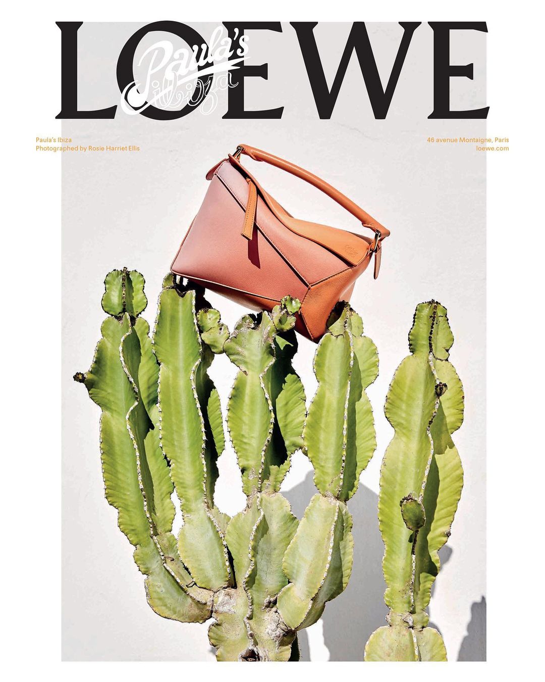 LOEWE |  Jun. 23