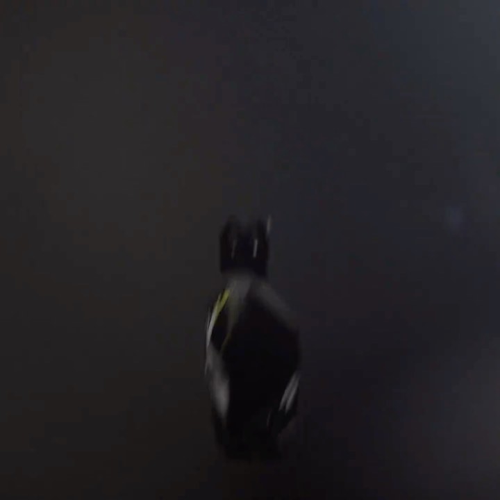 Vera Wang |  Jul. 23