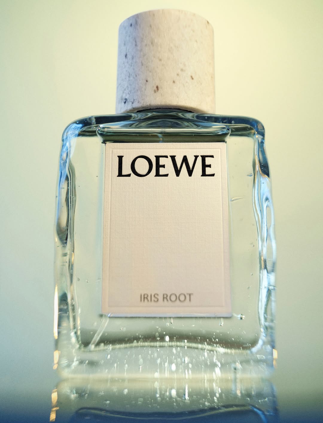 DAZED MENA |  Jan. 26