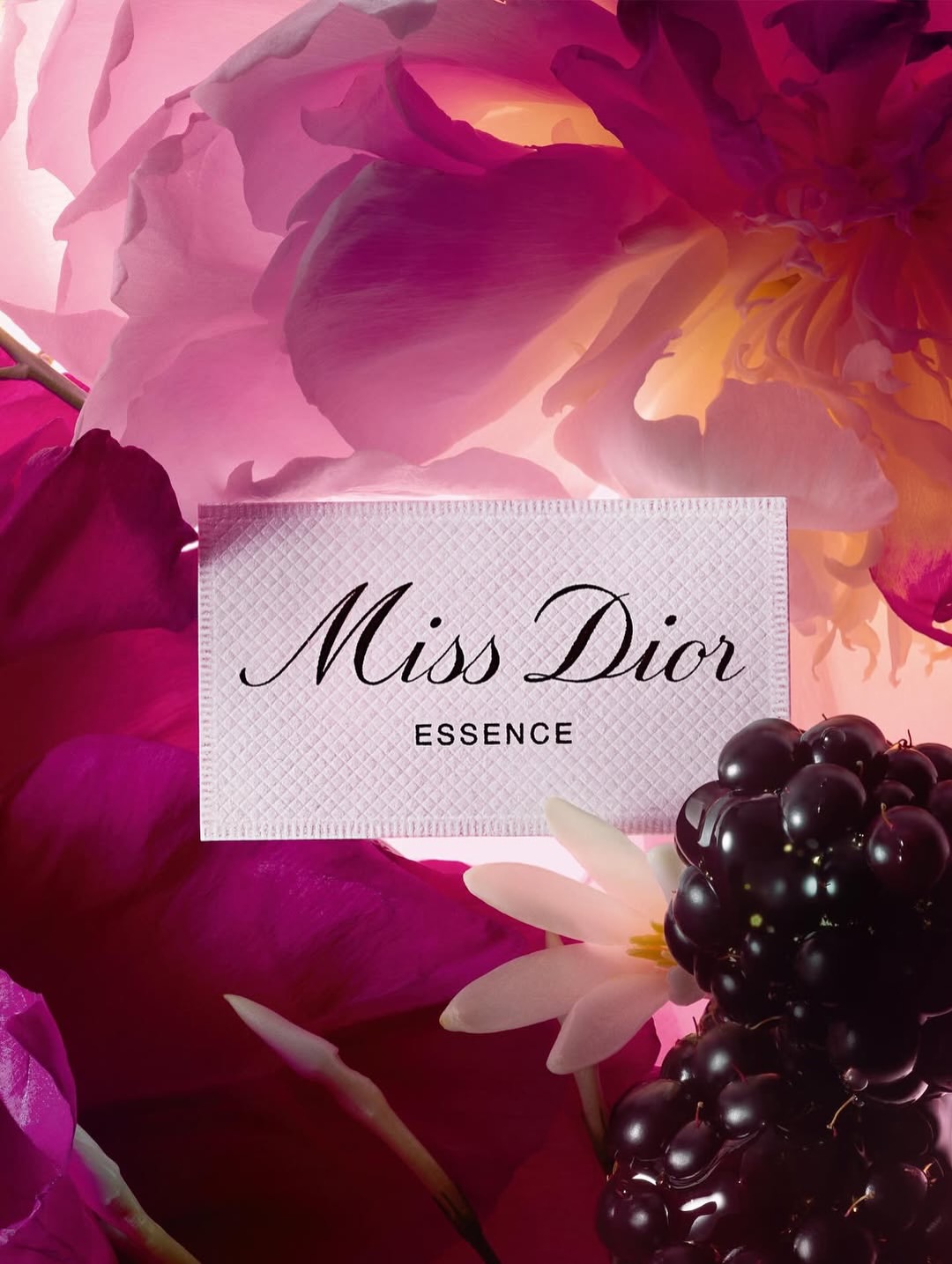 Dior |  Jun. 26