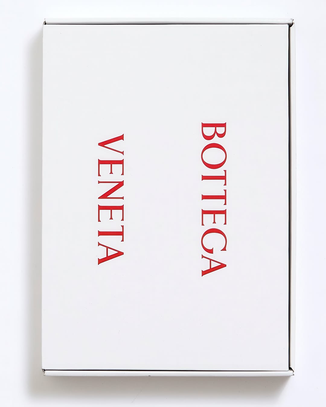 James Ari King X New Bottega